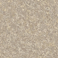 Линолеум Tarkett Sprint Pro DELIO 3 фото 1 | FLOORDEALER